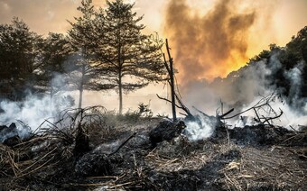 Оценка ущерба после стихийного бедствия в Иркутске: отчет оценщика